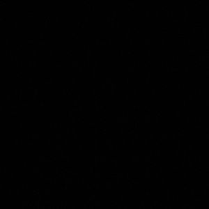 Meet your Posher, Alize